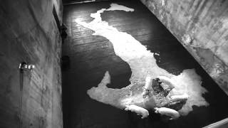 Santiago Sierra The Trilogy of Pigs Eating Peninsulas Kappatos Athens Art Residency May 2015