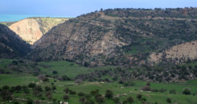 Ματσικοριδο